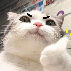 Ngài Hưng 😳
