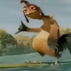 5051