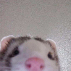 .