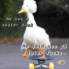 Koopy