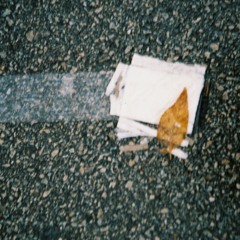 Ron Gulo & the Hoboyachtsmen