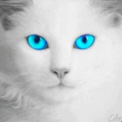 ࿗༒ cat_coffee༒࿗