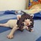 rori :3