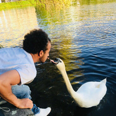 Hossam Algaml