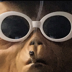Anakinho_