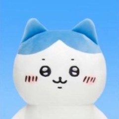 지가듣고싶은거올리는하치와레