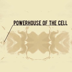 POWERHOUSE OF THE CELL