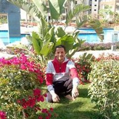 طه سلام