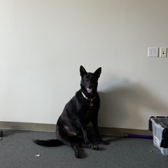 who are you to blame babes