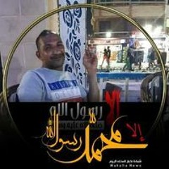 وليد عاطف حافظ