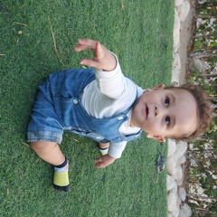 Mo Mosad