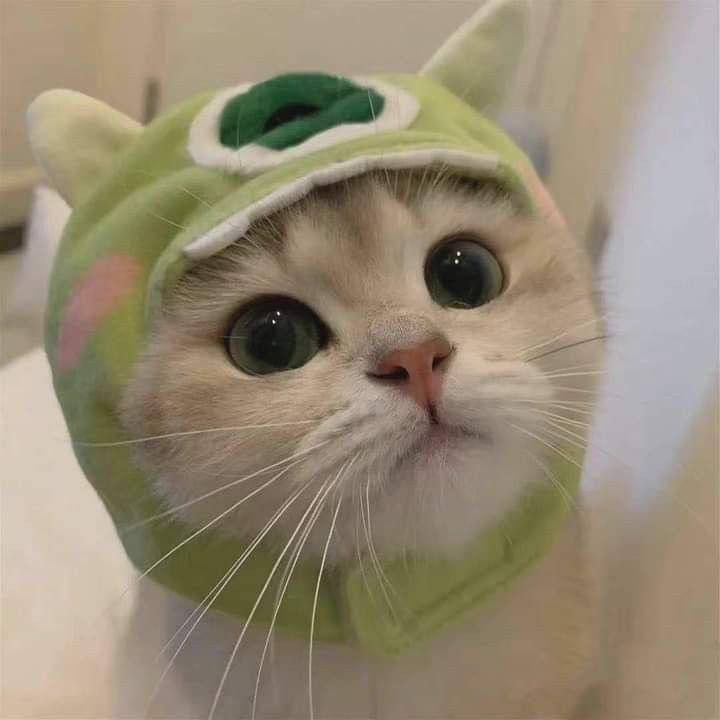 lodanse