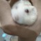 Yuu Chiry