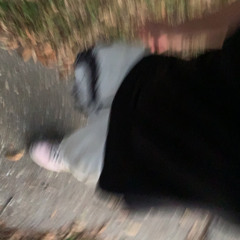 steppaajuu