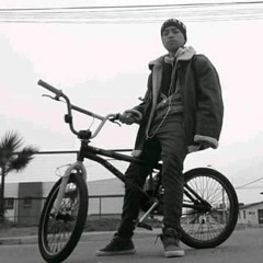 insom  perros marginales