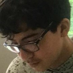 sebastiaanvanderzwet