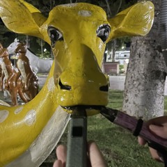 ᴅᴀɴɢ