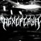 rexlplaya