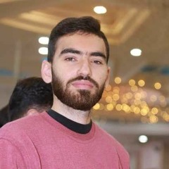 hamdi elhusseini