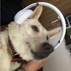 ChínhLee