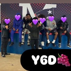 YBD Tae