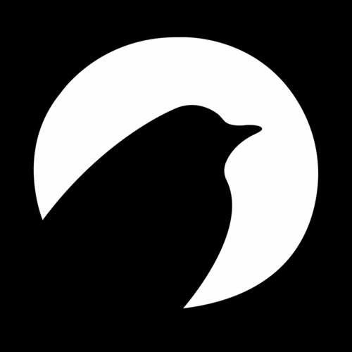 Winter Robins’s avatar