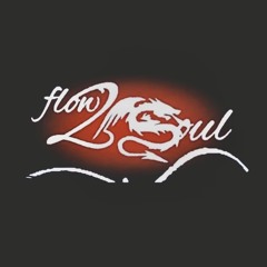 flow2soul