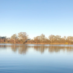Loke Wood