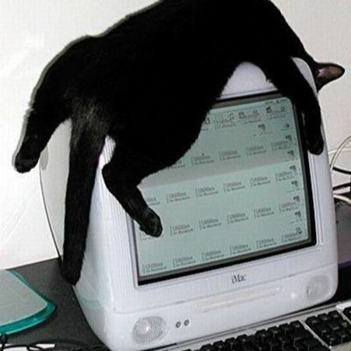 Почему котикам компьютеры не нравятся песня
120