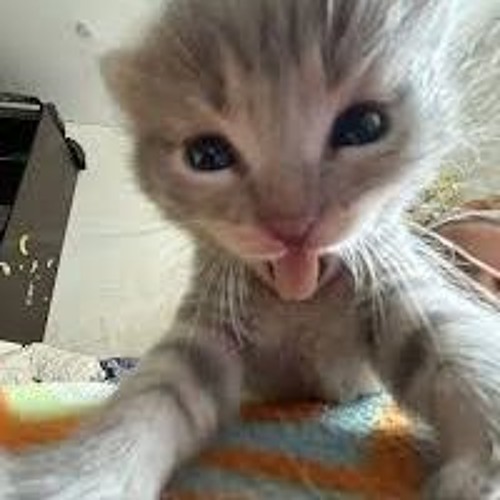 Proxima Centauri Music