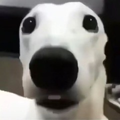 mariaaa