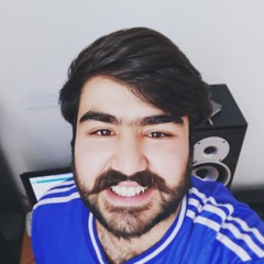 seyed amir