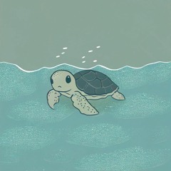 Tiny Turtle