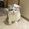 _miloo