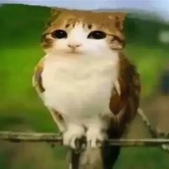 時々