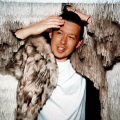 THE FUR