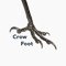 Crow Foot