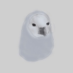 pibb00