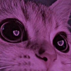 lilgodisdabest