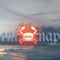 𝖊𝖓𝖎🦀𝖓𝖆𝖕❦