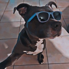 JVLIVS