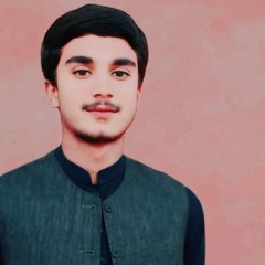 Shahnawazkasi