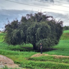 Hajar kafil