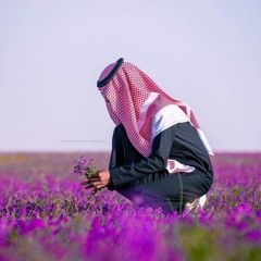 الشيخ أنس نوفل