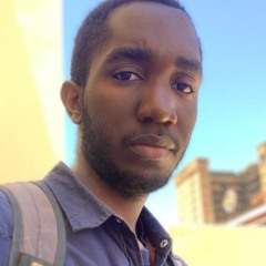 Mr.Murau