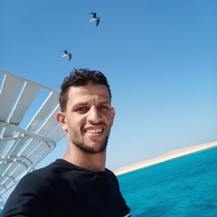 Dr-Mohamed Elsheshtawy