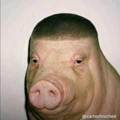 гавнаед