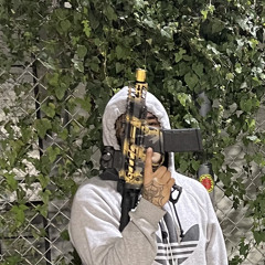 PLXYBOYEVOL