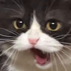 Đức Mạnhhhh