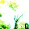Laieo